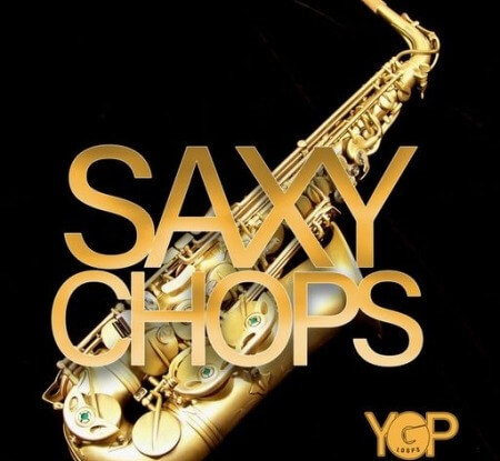 Big Citi Loops Saxy Chops WAV